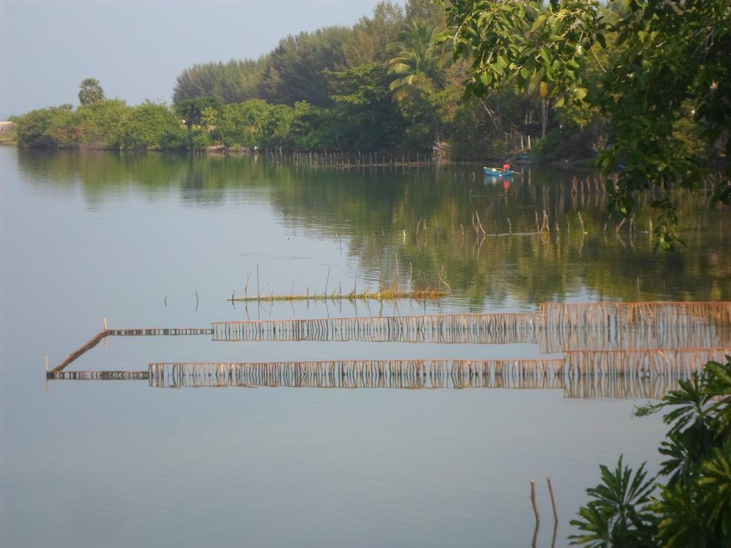 Lord Of The Forest Hotel Batticaloa Pokój zdjęcie
